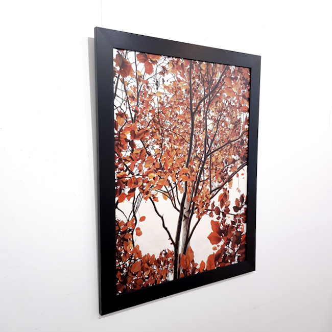 'In Autumn Colours' by artist Gavin Weir